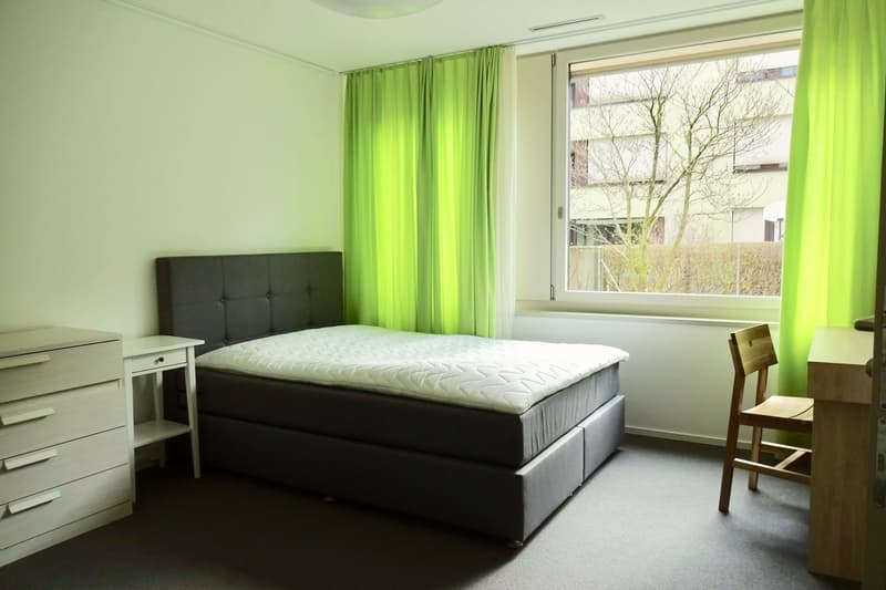 Cozy 1-Room Apartment with Balcony in a Flat-Sharing Community – Zürich Seebach (1)