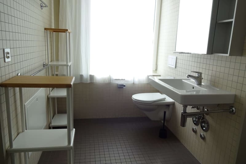 Cozy 1-Room Apartment with Balcony in a Flat-Sharing Community – Zürich Seebach (3)