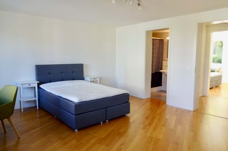 Cozy 1.5-Room Studio for Rent – Sunny & Well-Connected Location in Zürich (2)
