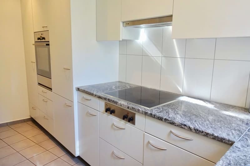 Cozy 1.5-Room Studio for Rent – Sunny & Well-Connected Location in Zürich (6)