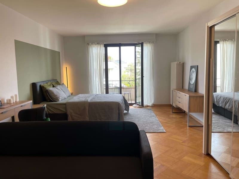 Private room in shared flat - Vernier (30 m²) (2)