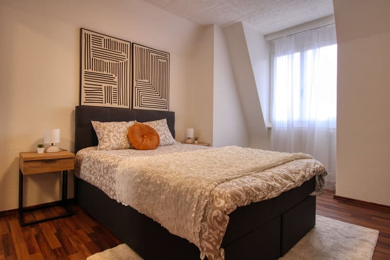 Your Coliving Spot in the Heart of Zurich (3)