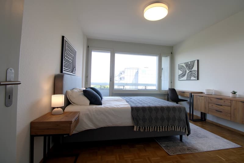 Spacious Coliving with International Connections in Le Grand-Saconnex (9)