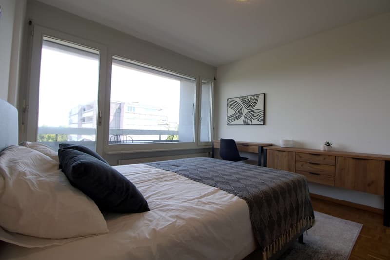 Spacious Coliving with International Connections in Le Grand-Saconnex (7)
