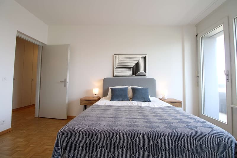 Spacious Coliving with International Connections in Le Grand-Saconnex (6)