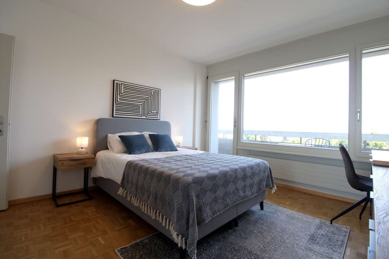 Spacious Coliving with International Connections in Le Grand-Saconnex (1)