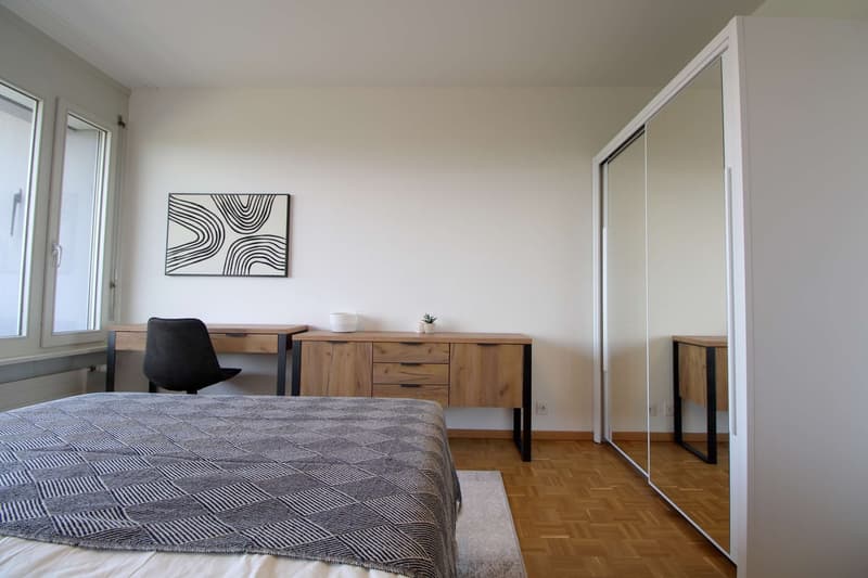 Spacious Coliving with International Connections in Le Grand-Saconnex (3)