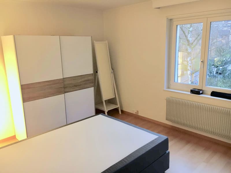 Cozy Single Room in a Flat Share – Zürich Wollishofen (4)