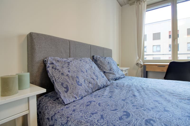 Möbliertes Studio mit eigener Küche und eigenem Bad im Neubau in Schlieren (4)