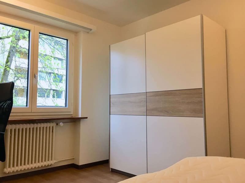 Experience 60's Charm in Zürich's Green Oasis (4)