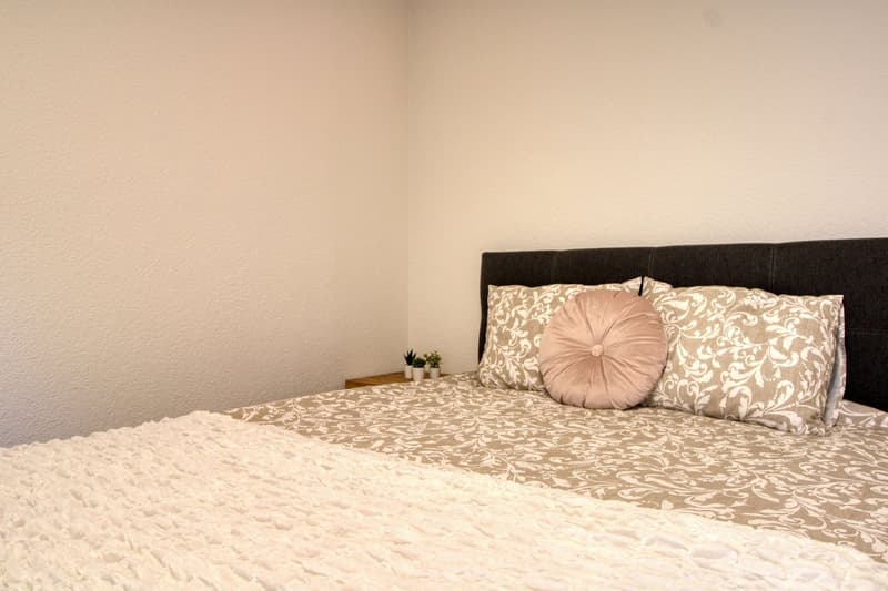 Gemütliches Coliving im lebendigen Altstetten in Zürich (4)