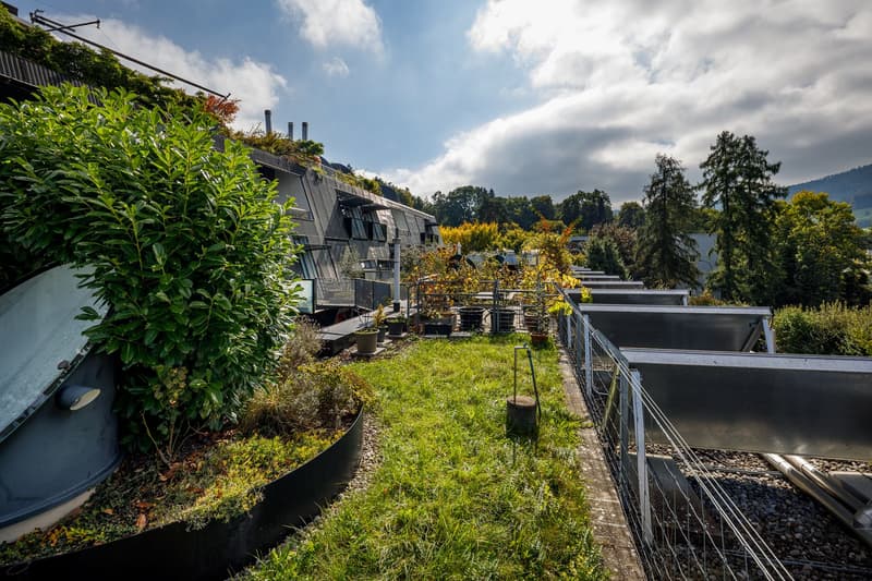 Grosse, moderne 6.5 Zimmer-Wohnung (10)