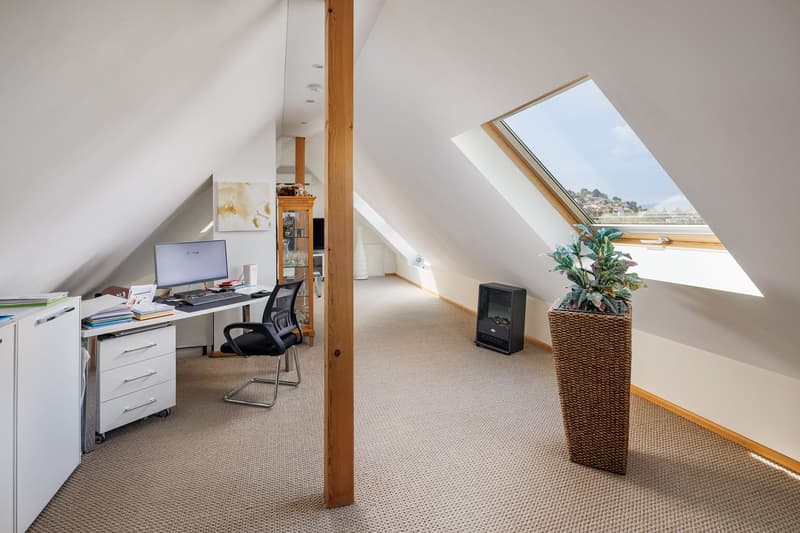 6.5 Zimmer-Duplex-Attikawohnung (9)