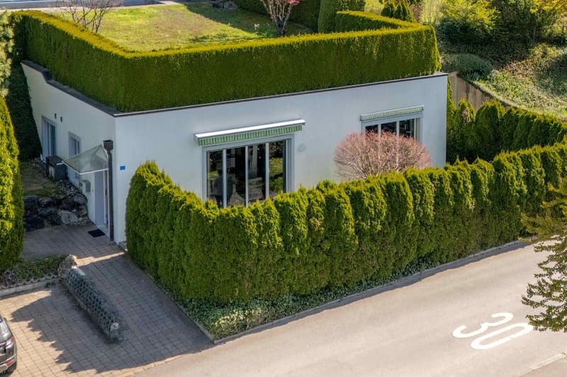 modern house, white exterior, green hedges, glass doors, green roof