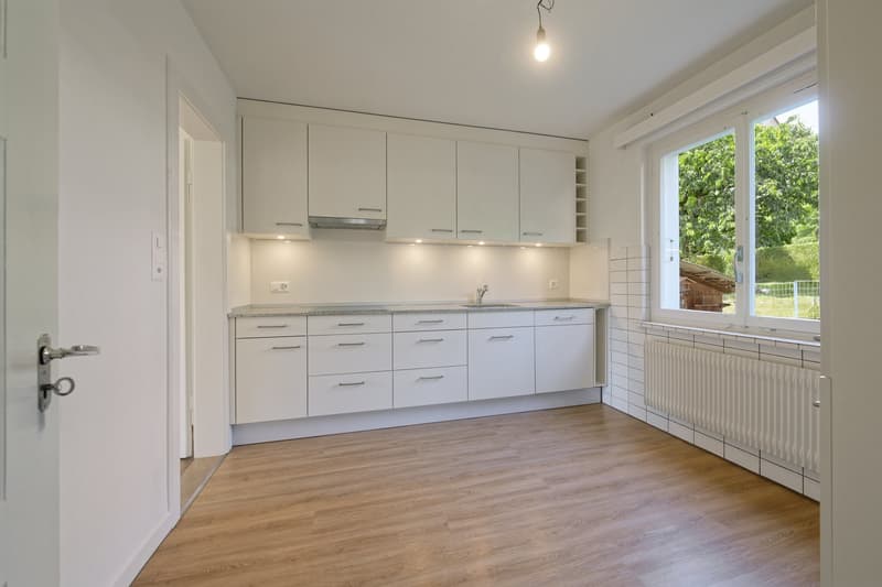 Familienparadies in Zürich Höngg – 5-Zimmer-Doppel-Einfamilienhaus mit grossem Sonnengarten (3)