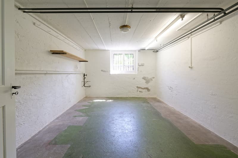 Familienparadies in Zürich Höngg – 5-Zimmer-Doppel-Einfamilienhaus mit grossem Sonnengarten (11)