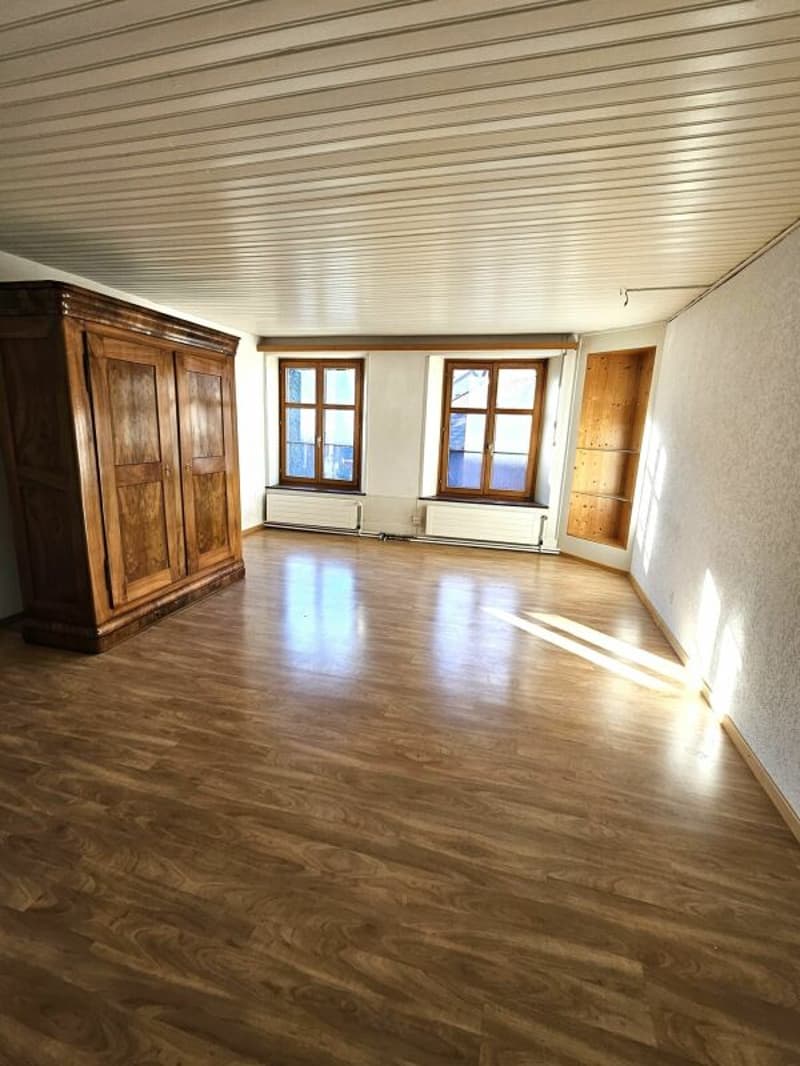 Maison unifamiliale avec appartement annexe (4)