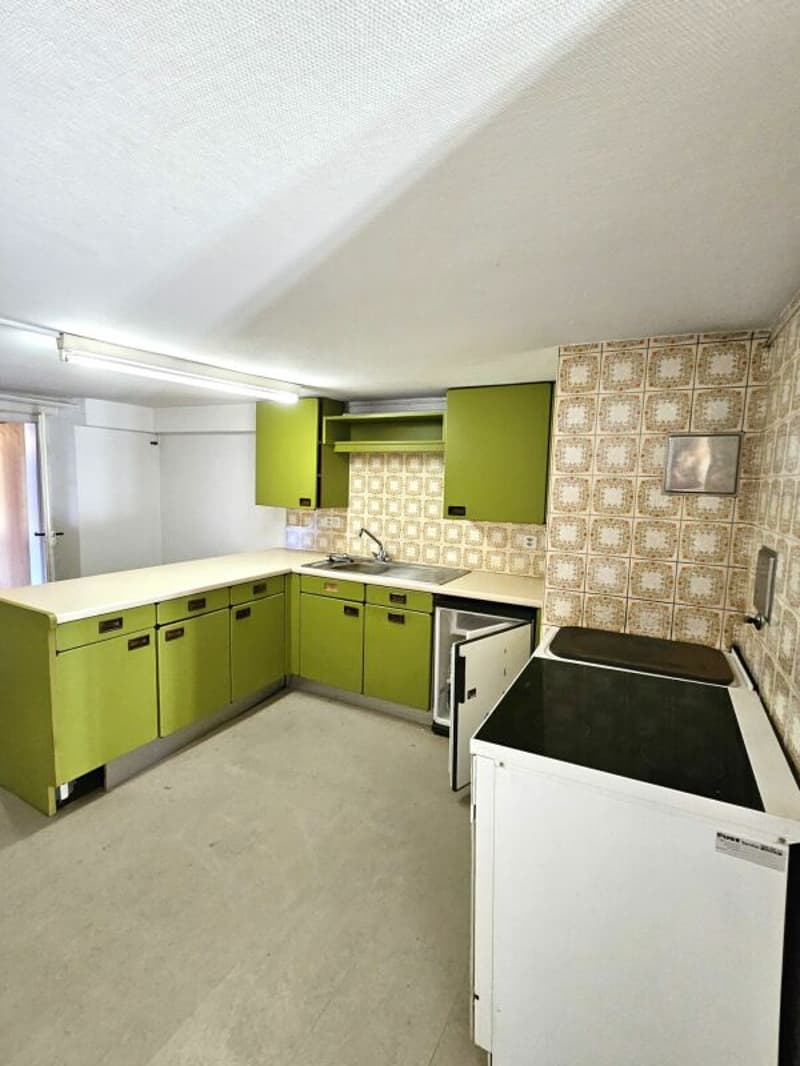 Maison unifamiliale avec appartement annexe (2)