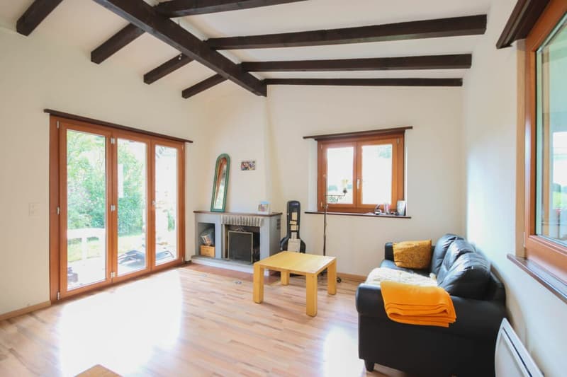 Ferienhaus auf grosser Baulandparzelle an ruhiger Lage mitten im Grünen (4)