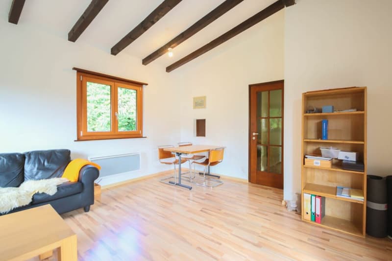 Ferienhaus auf grosser Baulandparzelle an ruhiger Lage mitten im Grünen (6)