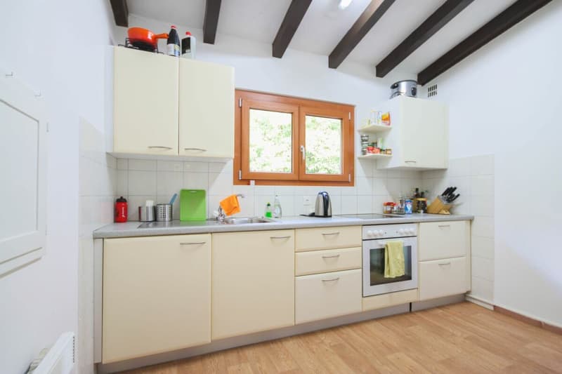 Ferienhaus auf grosser Baulandparzelle an ruhiger Lage mitten im Grünen (7)