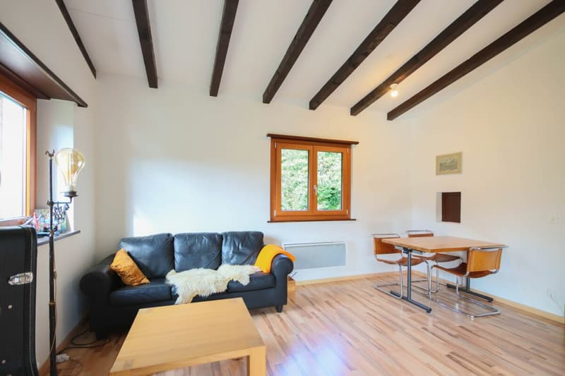 Ferienhaus auf grosser Baulandparzelle an ruhiger Lage mitten im Grünen (5)