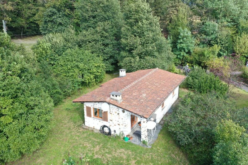 Ferienhaus auf grosser Baulandparzelle an ruhiger Lage mitten im Grünen (3)