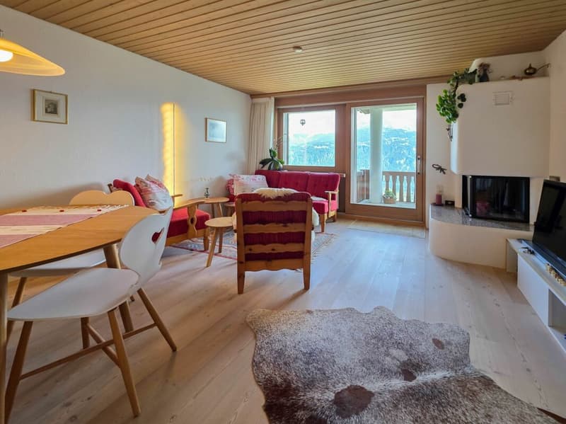 Gemütliche 2½-Zimmer-Ferienwohnung mit atemberaubender Panoramaaussicht (3)