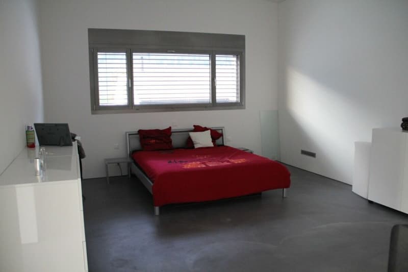 Exklusive 4½-Zimmer-Loft mit grosszügiger Terrasse in Domat/Ems (8)