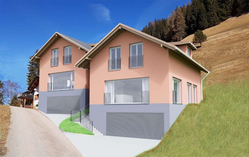 Hausfarbe noch wählbar