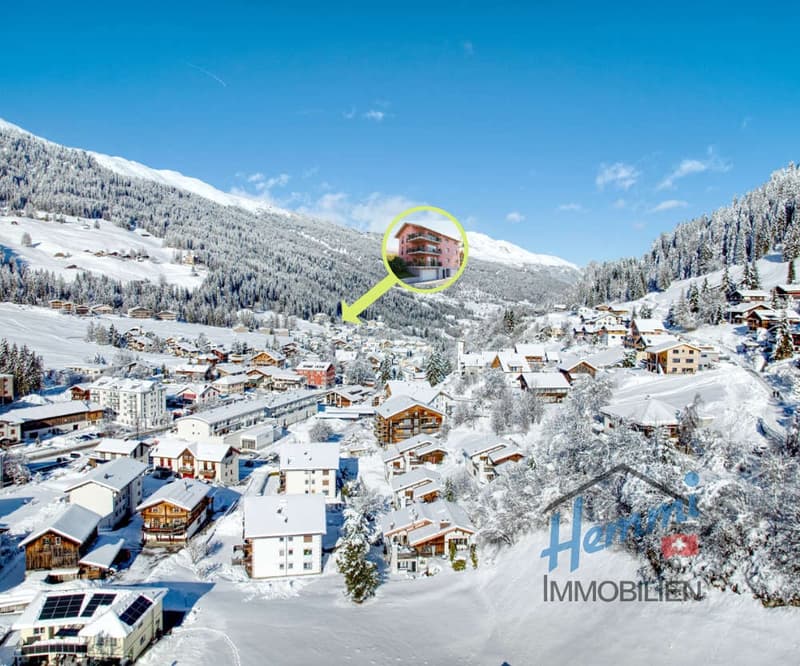 Mountain house, snow covered, surrounded by trees, multiple houses in the background