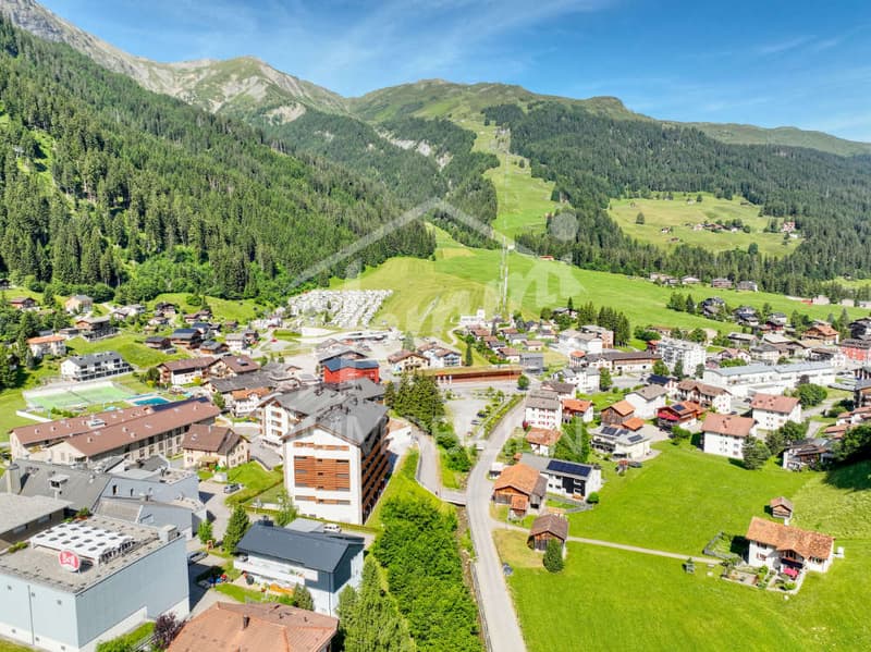 Mountain village with many buildings, green fields, trees, mountains in the background