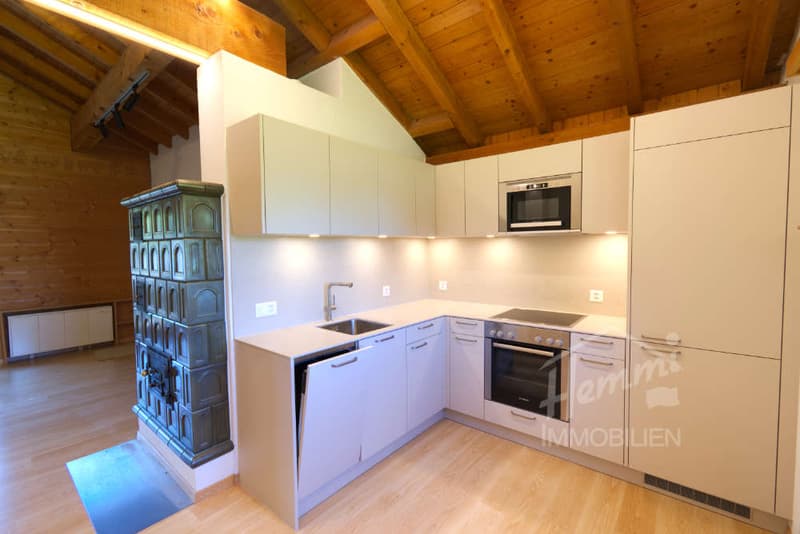 Ferienwohnung an Top Lage Ski-in/Ski-out (1)