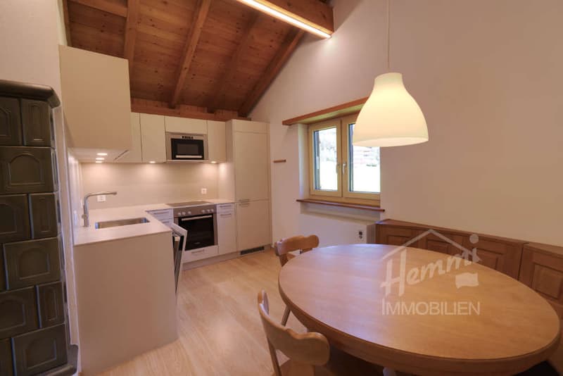 Ferienwohnung an Top Lage Ski-in/Ski-out (4)