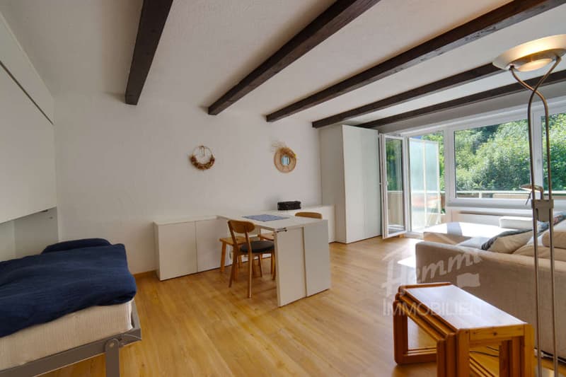 Ruhiges Ferienstudio mit Balkon und Bergblick (7)