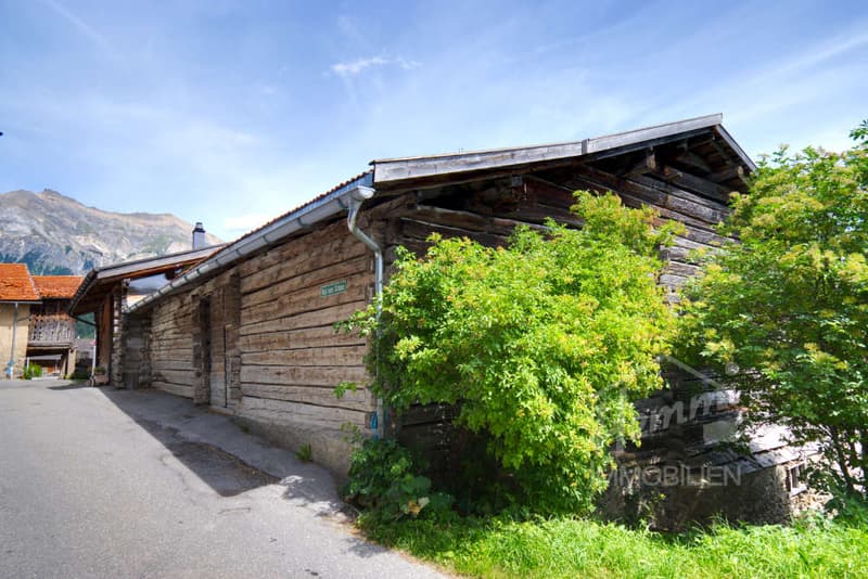 Ihre Chance auf einen wunderschönen Erstwohnsitz - Bauland mit Stall (9)