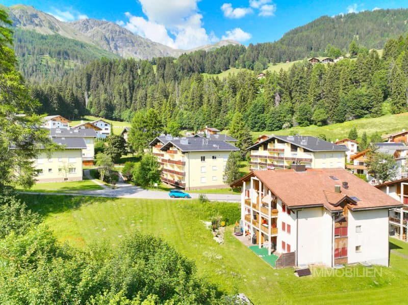 Ruhige Ferienwohnung – Ihr Traumzuhause in den Bündner Bergen (19)