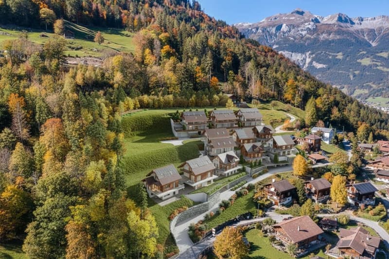 Ferienhaus oder fester Wohnsitz J (14)