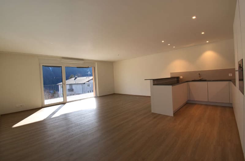 Wunderschöne grosszügige Erstwohnung mit Aussicht (10)