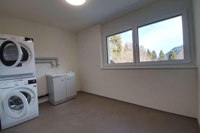 Wunderschöne grosszügige Erstwohnung mit Aussicht (16)