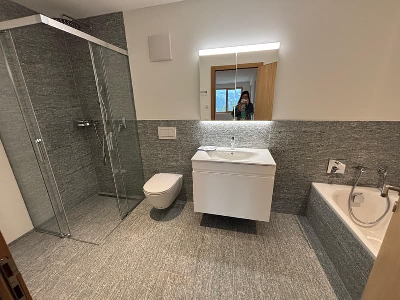 FERIENWOHNUNG, Nigelnagelneue 3.5-Zimmerwohnung (7)