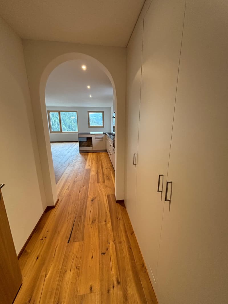 FERIENWOHNUNG, Nigelnagelneue 3.5-Zimmerwohnung (9)