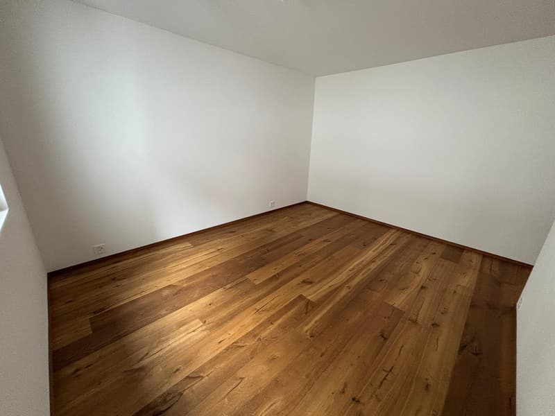 FERIENWOHNUNG, Nigelnagelneue 3.5-Zimmerwohnung (10)