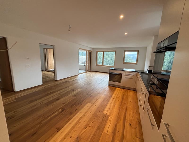 FERIENWOHNUNG, Nigelnagelneue 3.5-Zimmerwohnung (1)