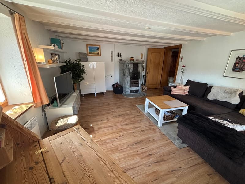 Living room with hardwood floors, large couch, fireplace, TV, coffee table, shelves, side table, decorative items, and large rug.
