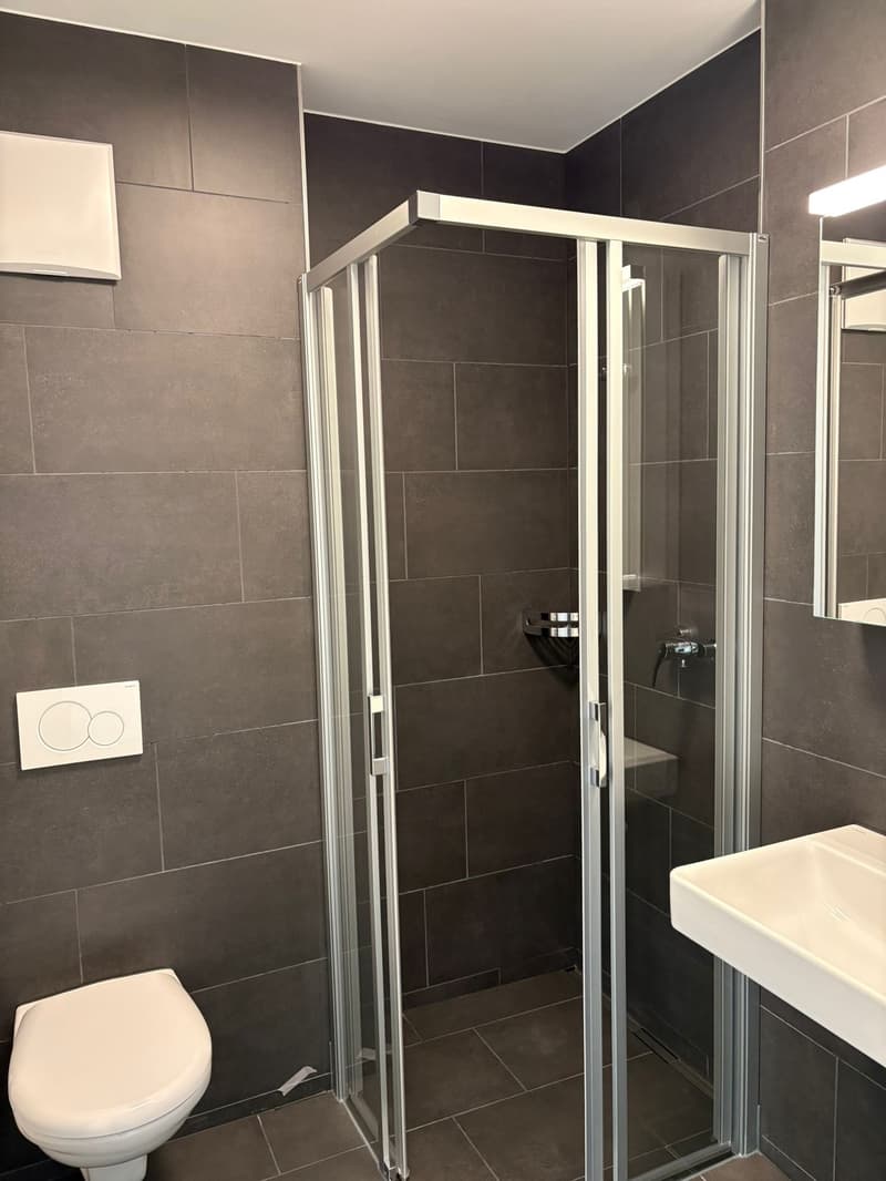 Familienfreundliche helle 5.5-Zimmer-Wohnungen in Egnach (2)
