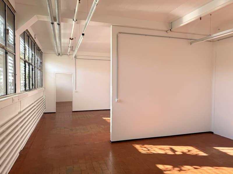 Büro / Gewerbe / Atelier auf dem Lagerplatz-Areal (4)