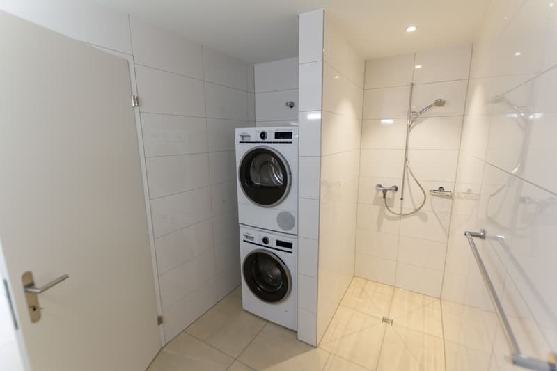 Moderne Wohnung mit eigenem Waschturm (5)