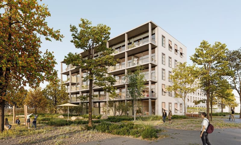Erstvermietung - Grosszügige Wohnung mit Balkon (1)