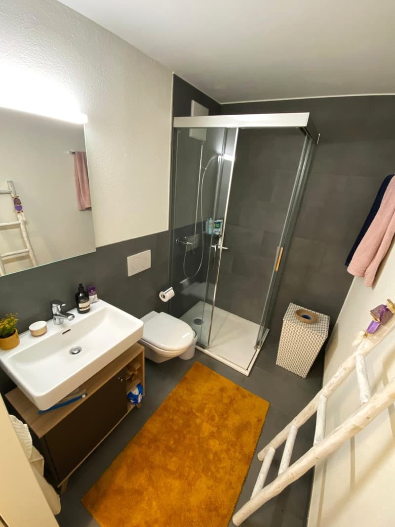 Zentral gelegene Wohnung (2)